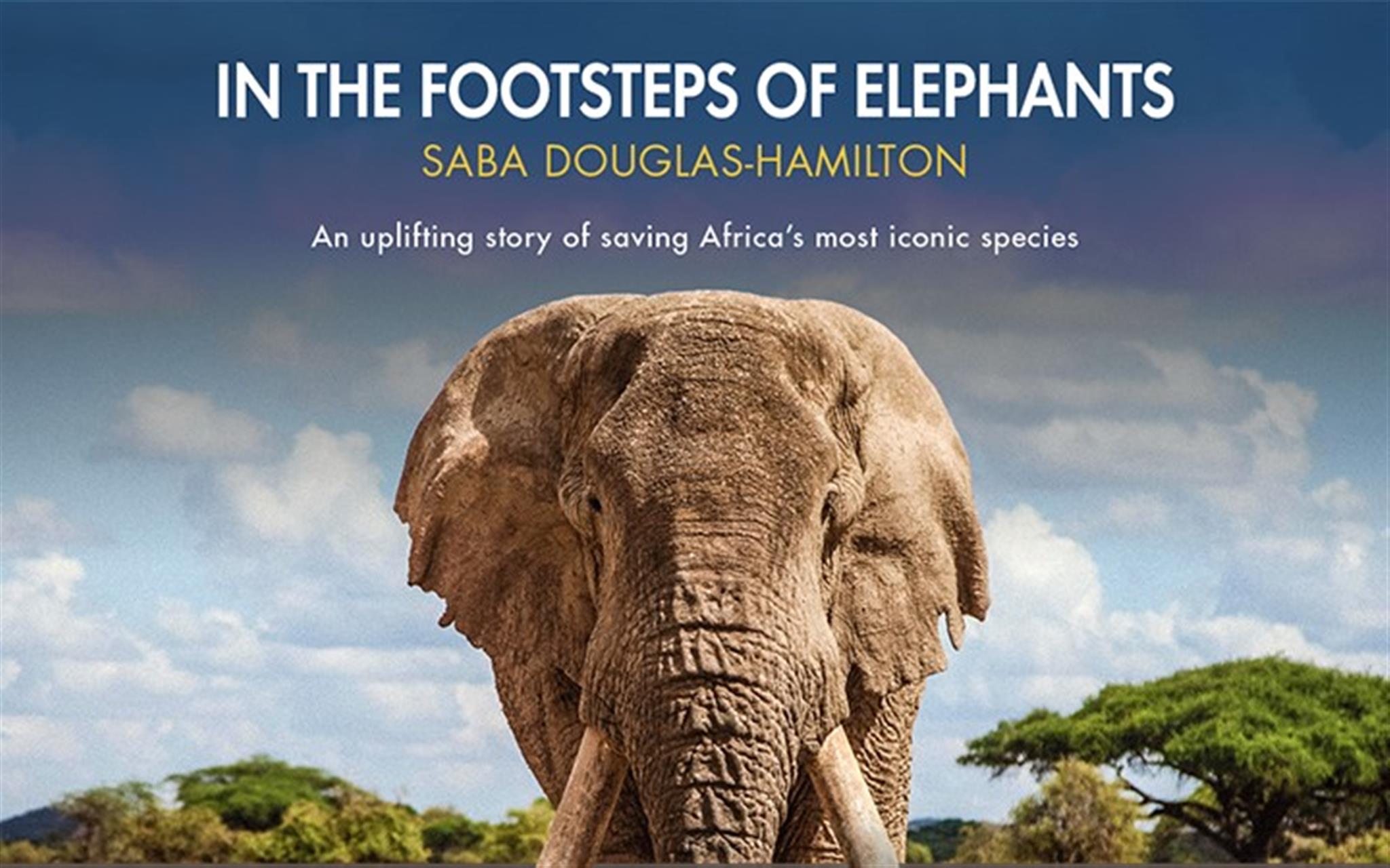 Saba Douglas-Hamilton - In the Footsteps of Elephants image
