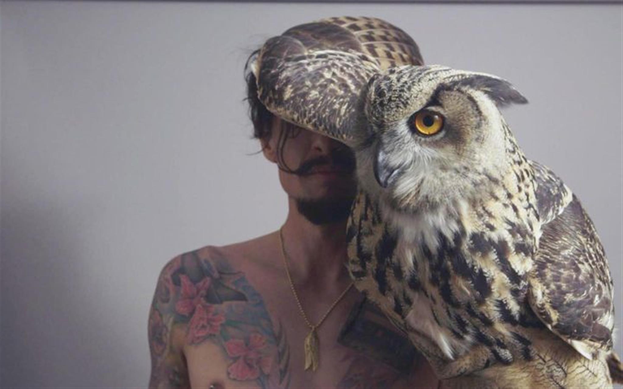 Justin Hawkins Rides Again image