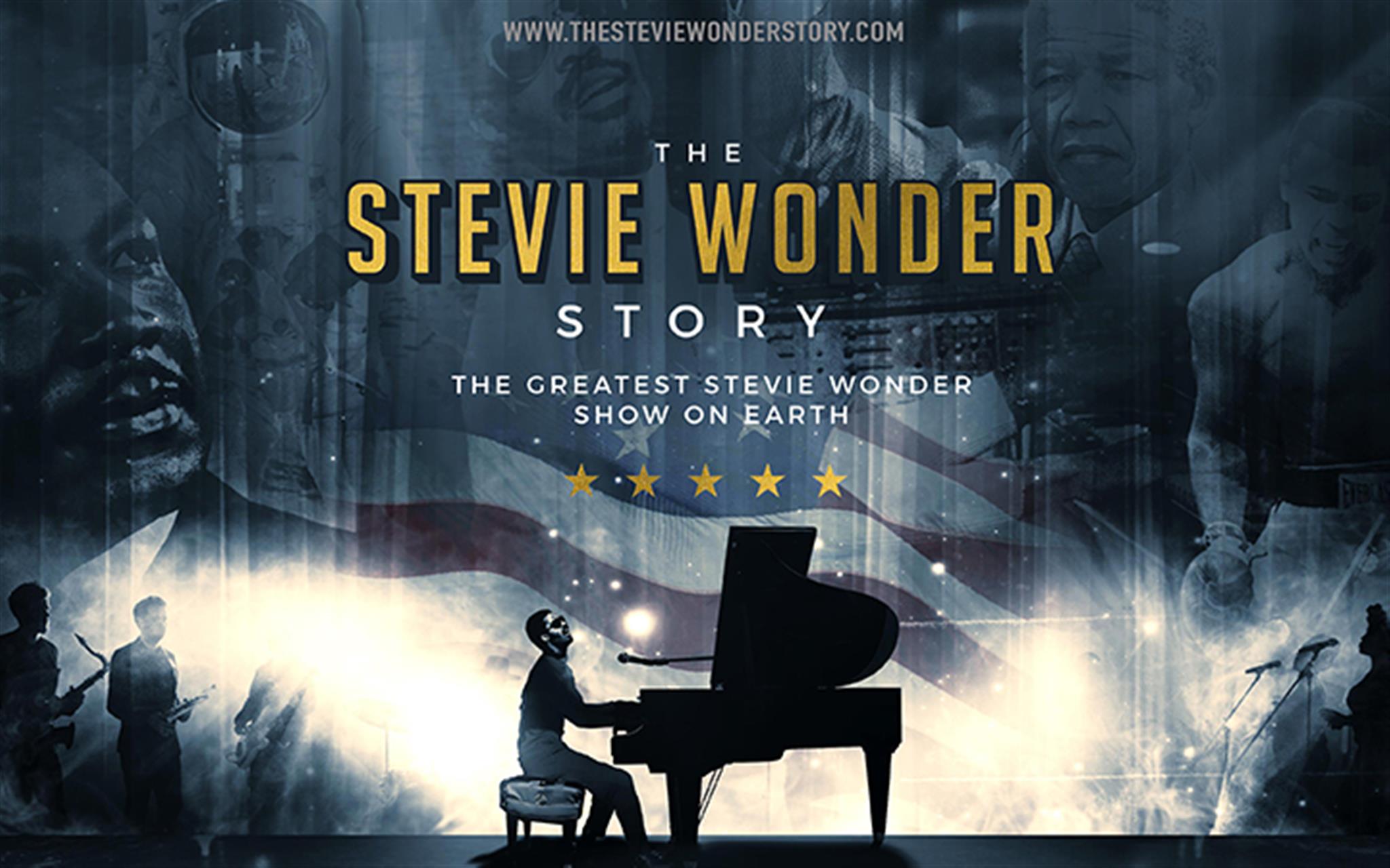 Stevie Wonder Story image