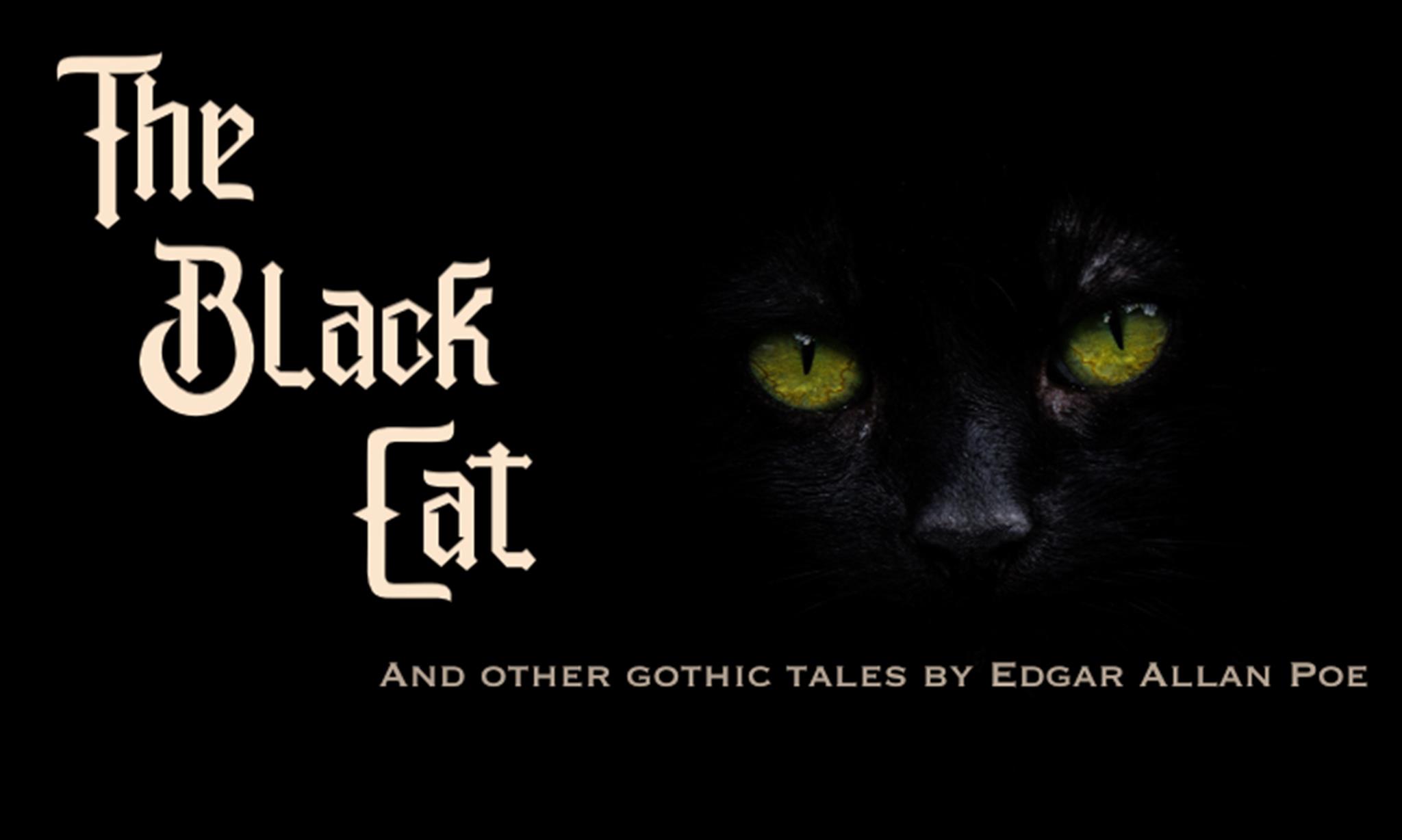 The Black Cat & Other Gothic Tales image