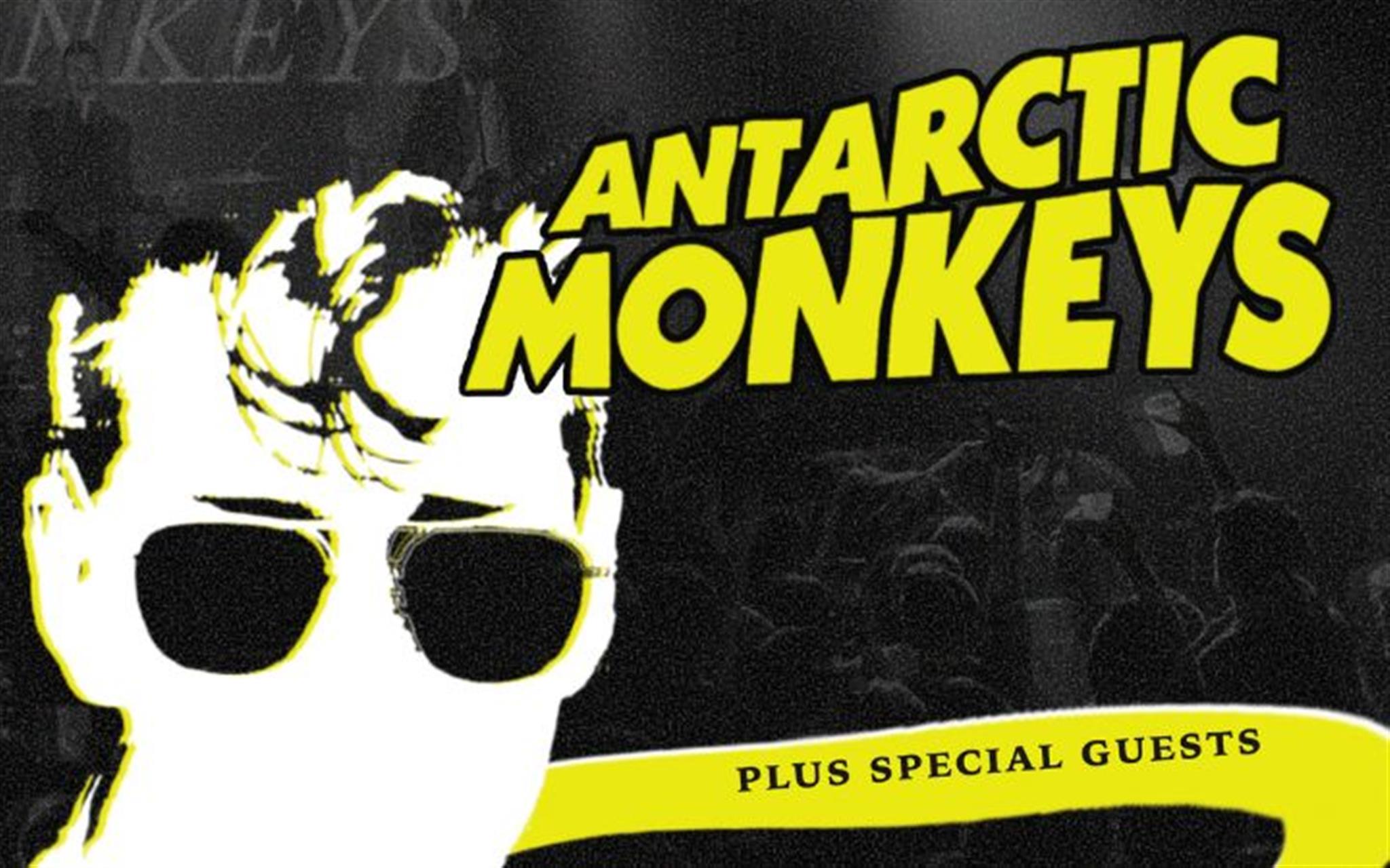 Antarctic Monkeys image