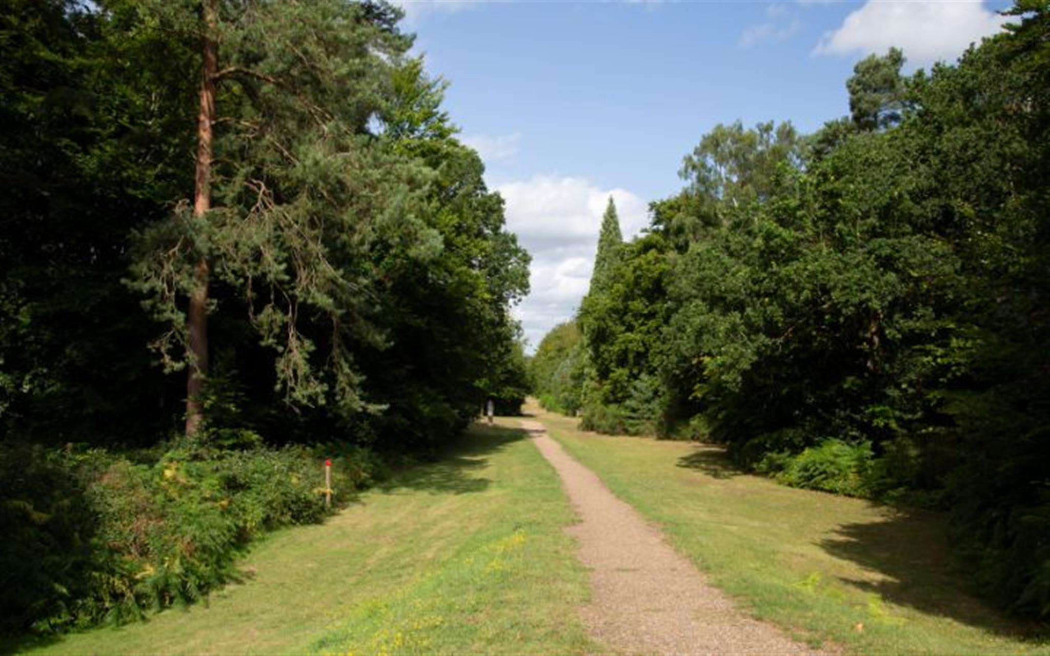 Brandon Country Park’s Summer Trail image