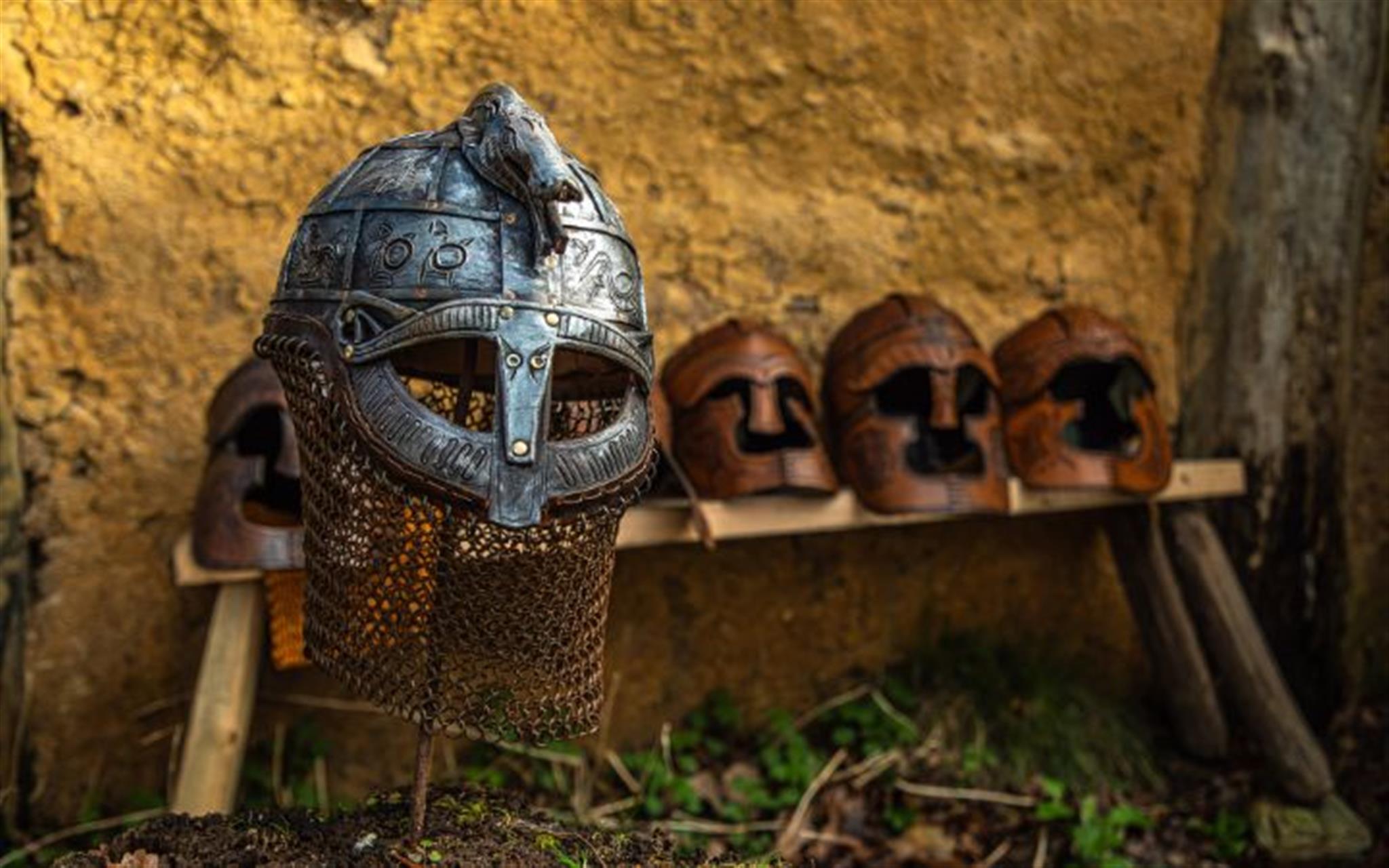 Living History - Wulfingas image