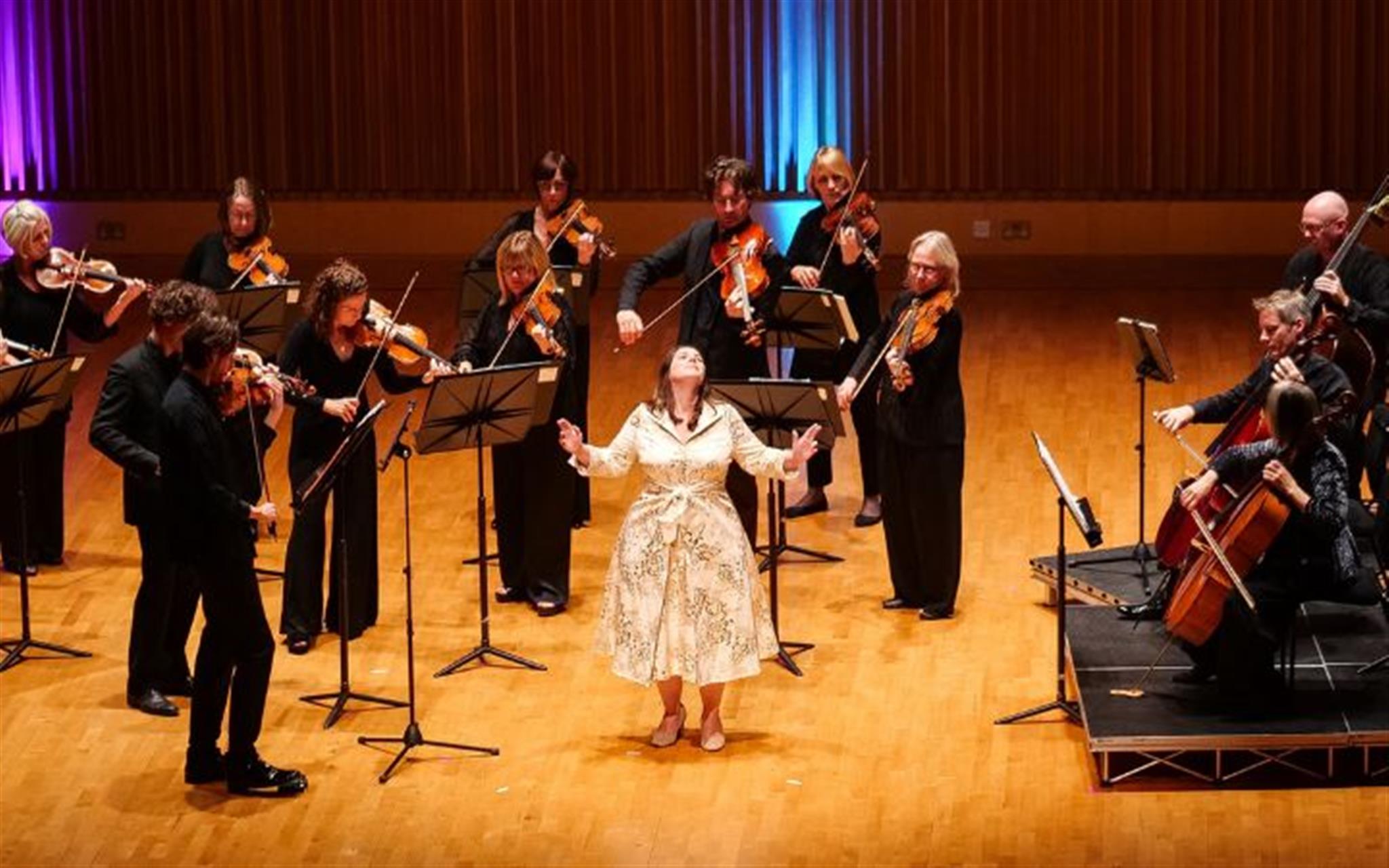 Britten Sinfonia image