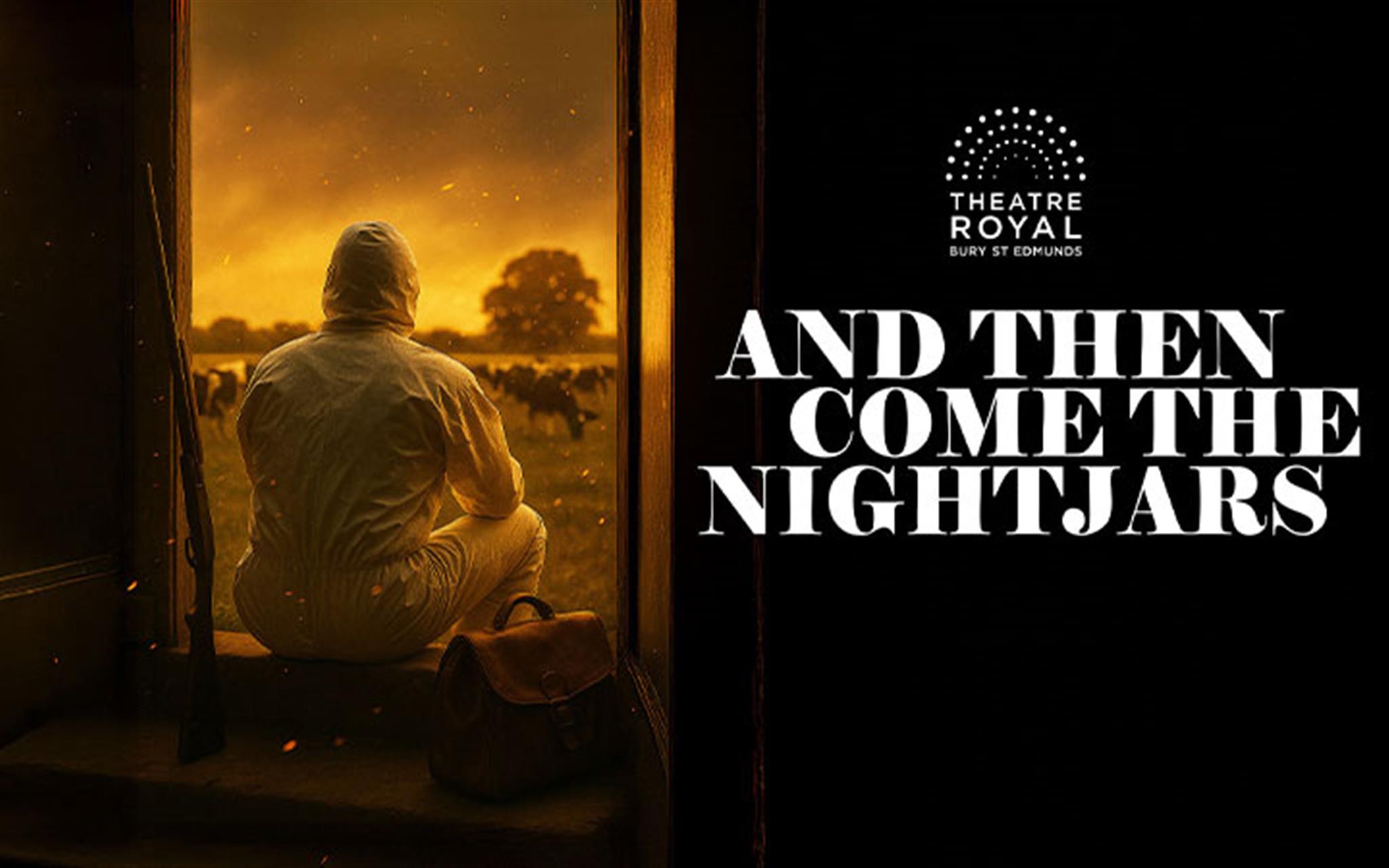 And Then Come The Nightjars