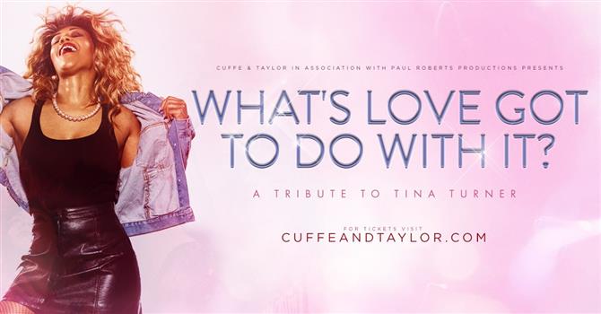 Whats Love Got To Do With It! Tribute to Tina Turner