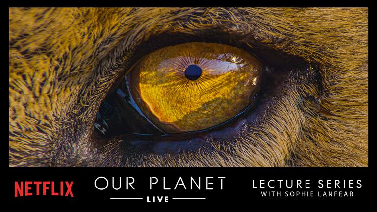 Our Planet Live